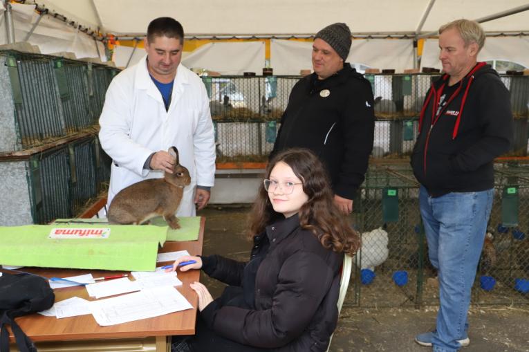 Oblastná výstava zvierat