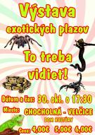 Výstava plazov